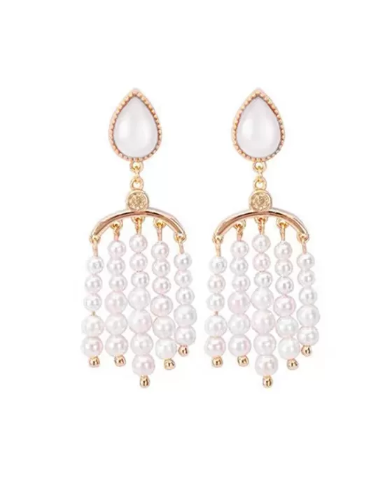 Original Elegant Tasseled Earrings Accessories