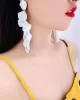 Stylish Tasseled Acrylic Earrings Accessories