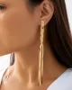 Tasseled Earrings Accessories