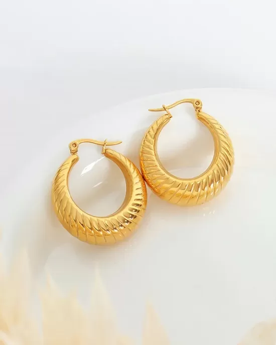 Pleated Solid Color Earrings Accessories