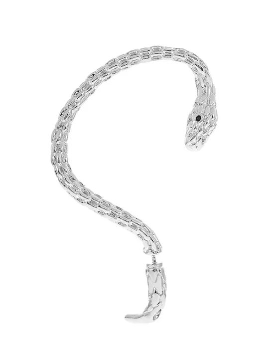 Snake Shape Earhook Earrings