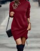 Casual Long Sleeves Solid Color High-Neck Mini Dresses