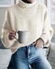 Casual Long Sleeves Solid Color High-Neck Sweater Tops