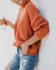 Casual Long Sleeves Solid Color High-Neck Sweater Tops