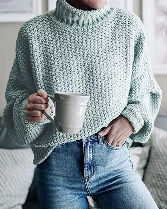 Casual Long Sleeves Solid Color High-Neck Sweater Tops